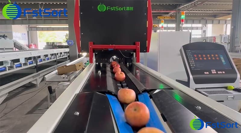 images/1753262778562apple optical grader.jpg